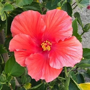 Meet your Posher, Ellen